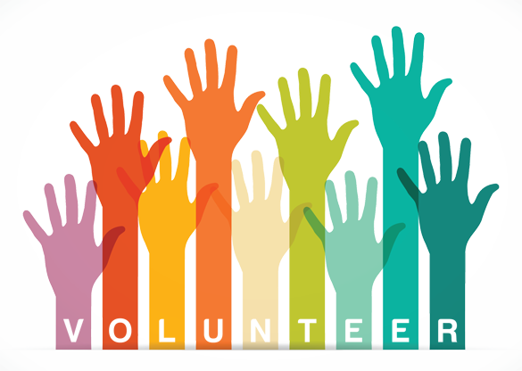 Volunteers-raised-hands-mhagerty2222